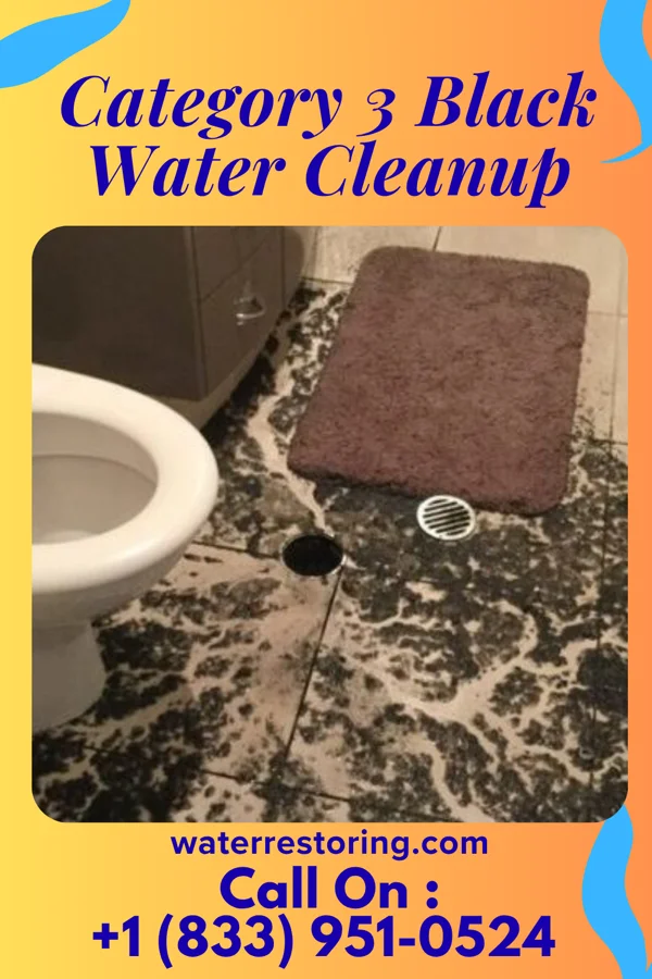 Category 3 Black Water Cleanup in Kaukauna, WI