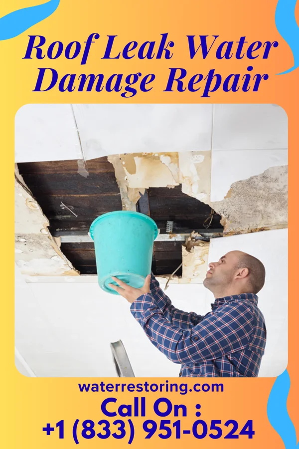 Roof Leak Water Damage Repair in Kaukauna, WI